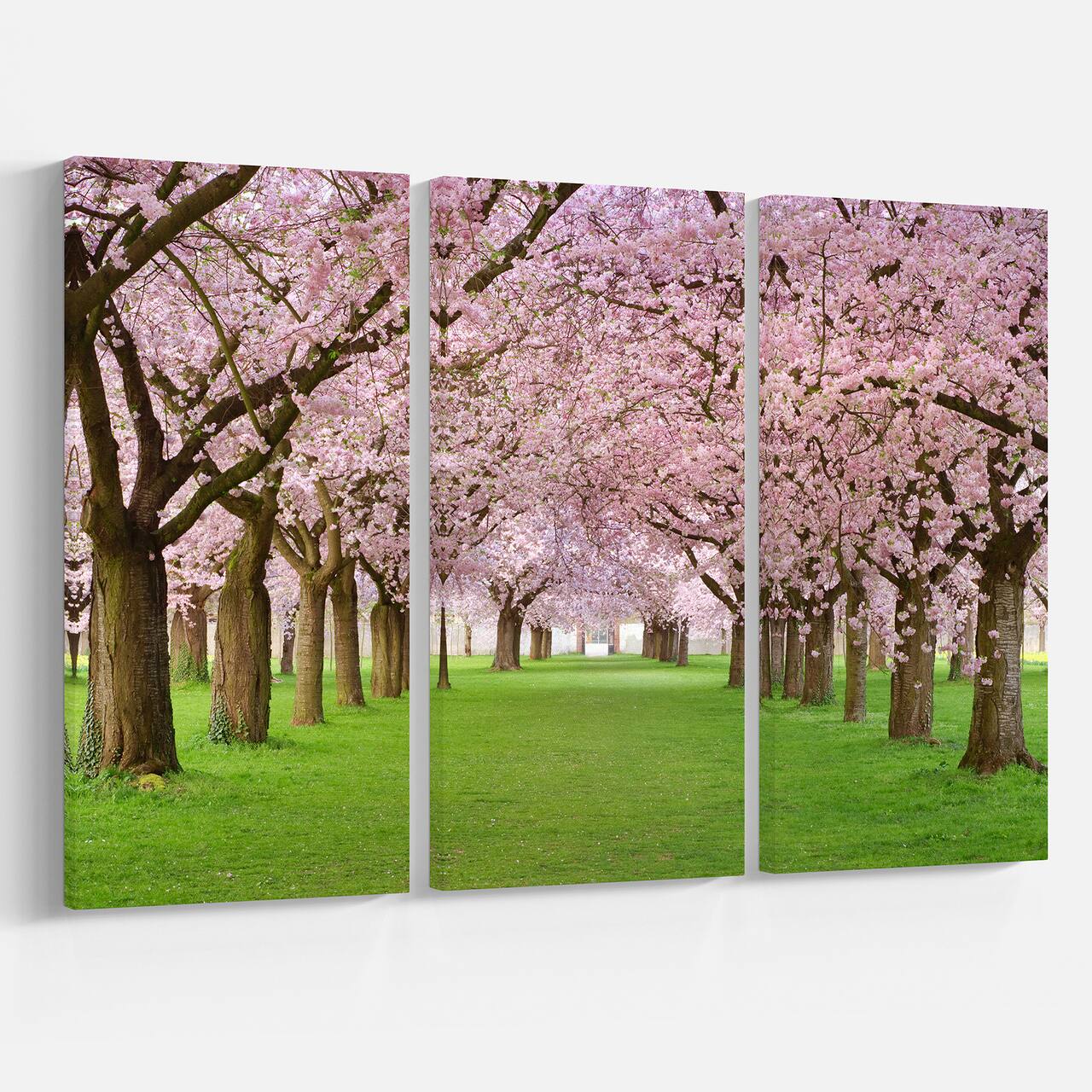 Designart - Stunning Cherry Blossoms Plenitude - Landscape Canvas Art Print